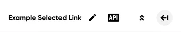 The left panel header, with the report name and its API and collapse icons