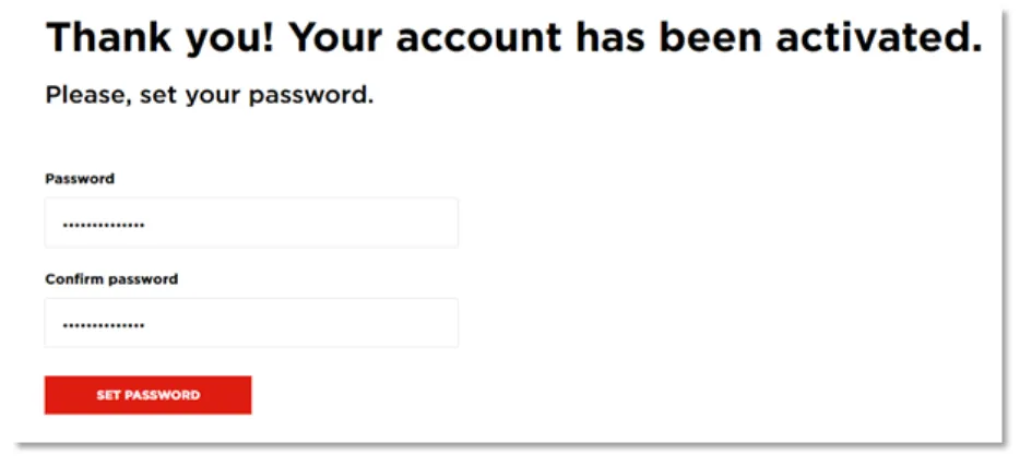 Set password form showing two password input fields with eye icons for visibility toggle and 'Set Password' button at bottom