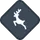 Animal on road